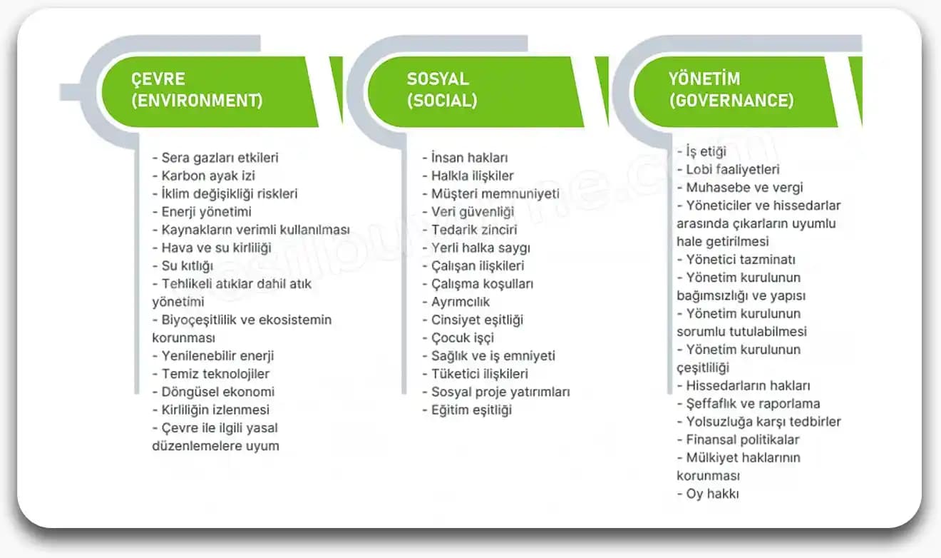 Saçın Alt Katmanlarının Üst Katmanlara Göre Daha Sağlıklı Olma Nedenleri ve Bakım Yöntemleri