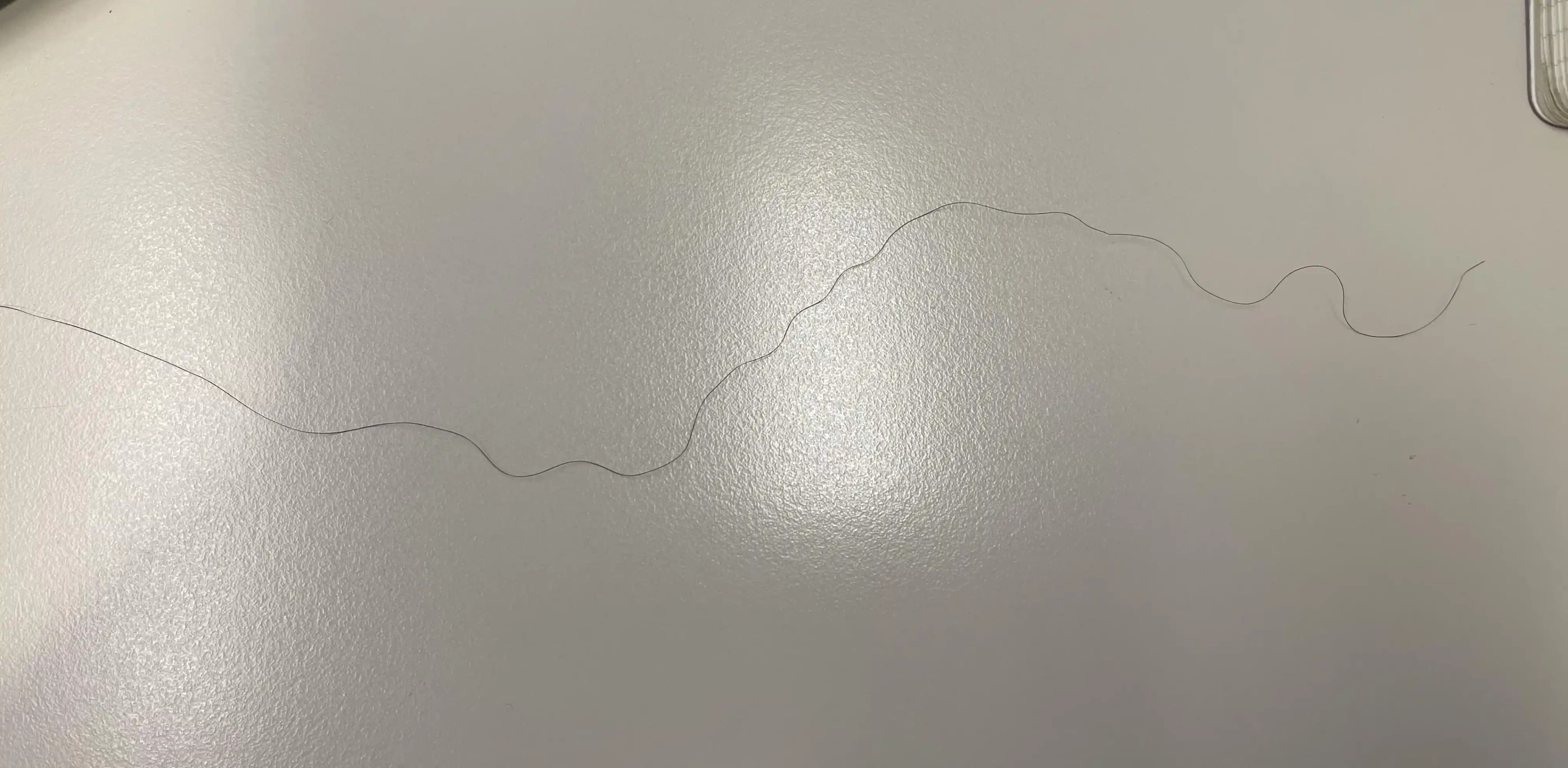 Saçtaki Farklı Tüylerin Nedenleri ve Bilimsel Açıklamalarının İncelenmesi