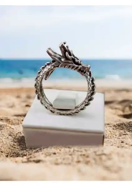 Antik Güçlü Kaplama Ejderha ve Siyah Şövalye Yüzüklerinin Karşılaştırması