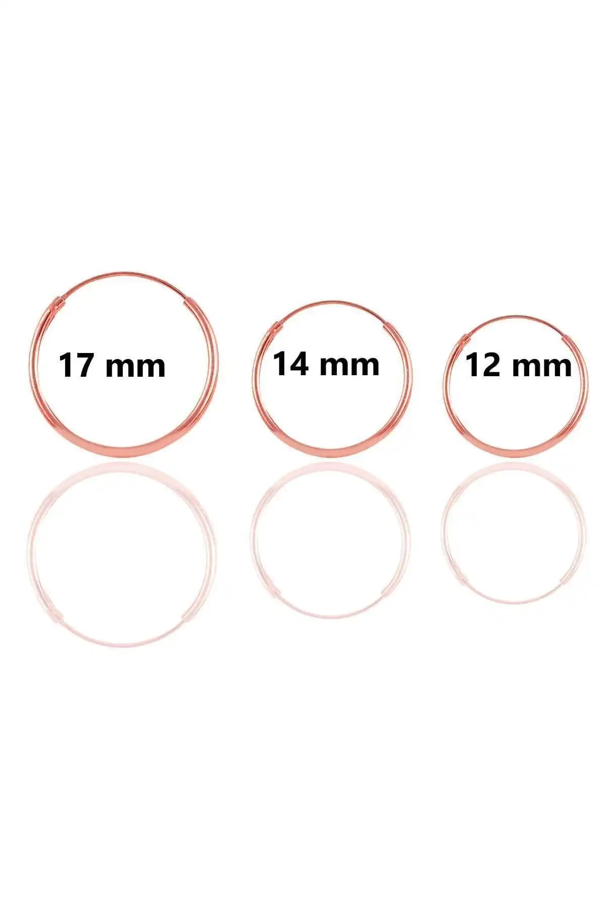 Elika Silver ve Söğütlü Silver Gümüş Küpe Karşılaştırması ve Özellikleri 2