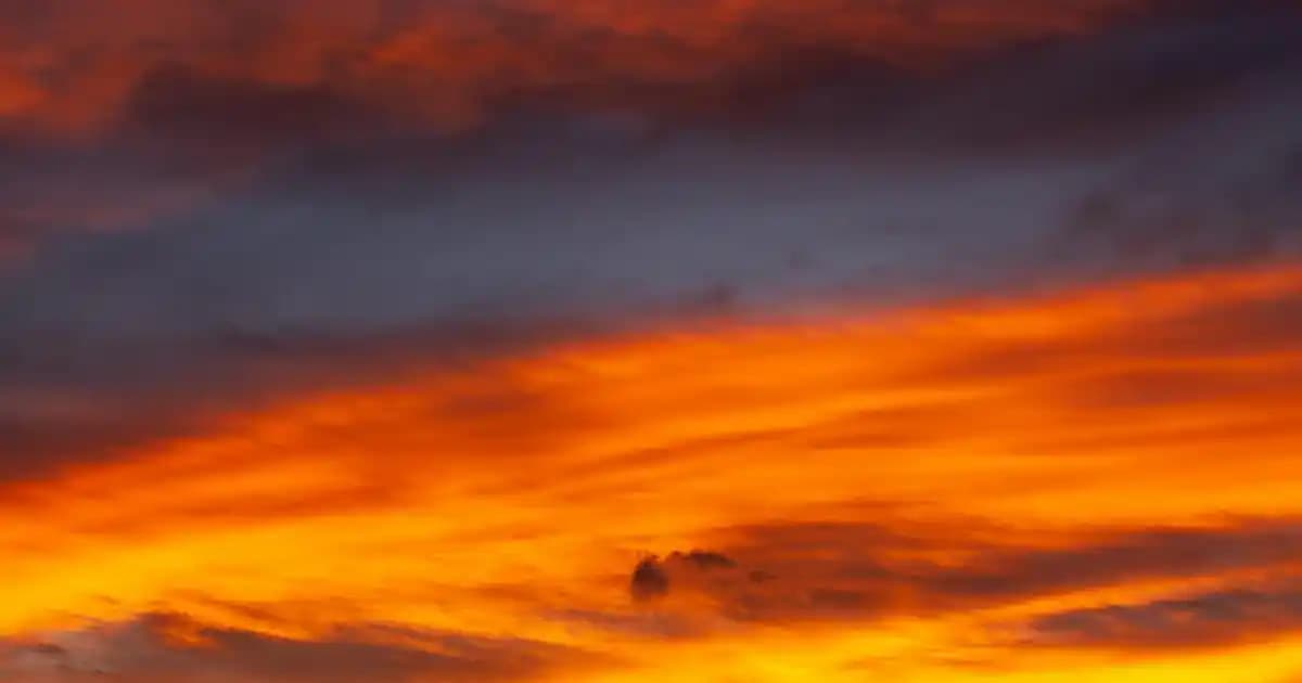 Çay Esanslı Parfümler: Siyah, Yeşil ve Matcha Çay Kokularının Detaylı İncelemesi