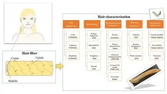 K18 ve Olaplex Saç Onarım Ürünlerinin Bilimsel Performans Karşılaştırması ve Etkinlik Analizi