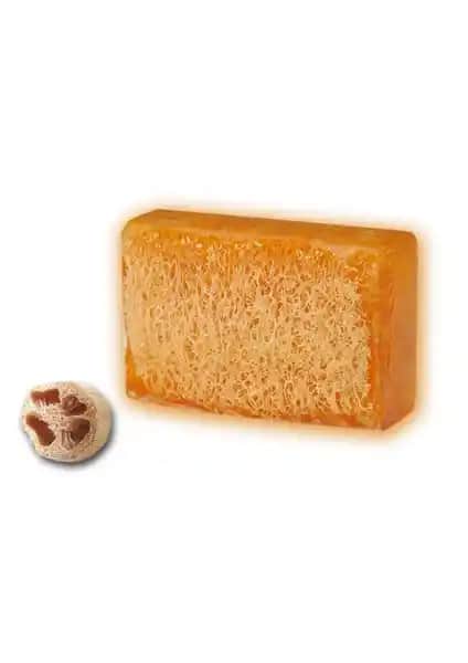 Lift-Fit Vücut Sabunu: Doğal İçeriklerle Selülit ve Yağ Yakımını Destekleyen Ürün