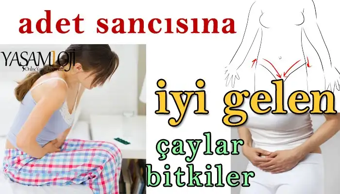 Adet Ağrısına İyi Gelen Doğal Çaylar ve Rahatlatıcı Bitkisel Çözümler