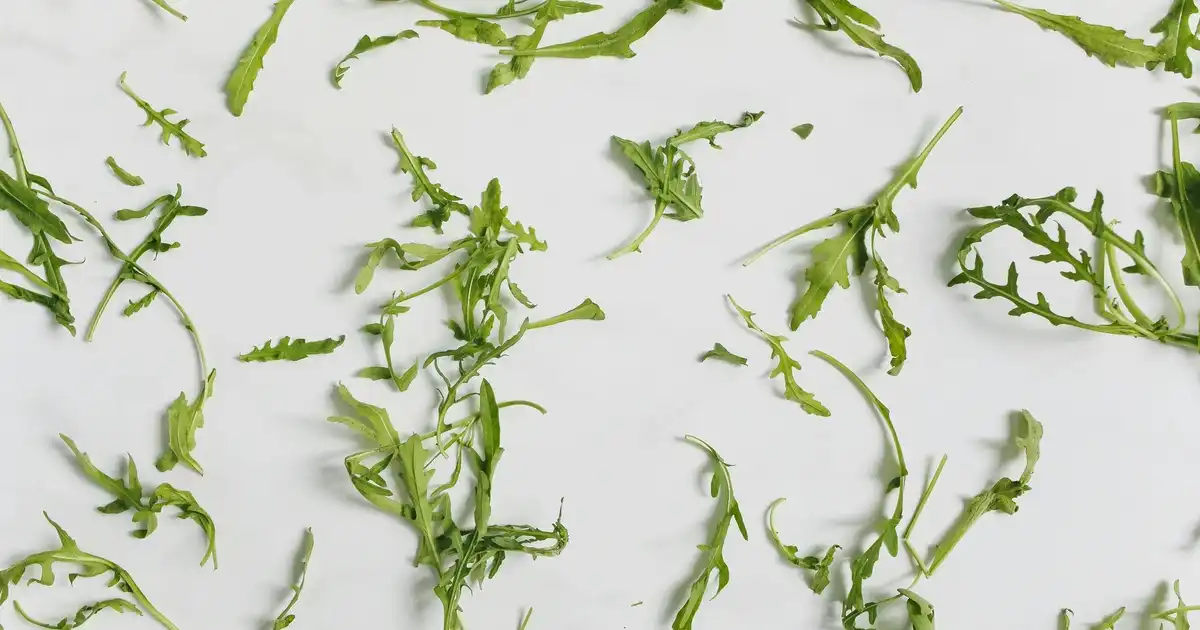 Alfalino Omega 3 ve Kozmetik Sektöründeki Yeni Trendler Hakkında Detaylı Bilgi