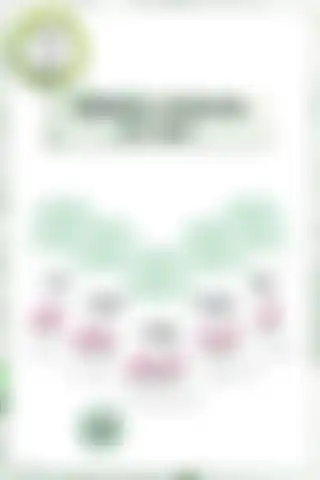 Garnier Mineral Termal Koruma Roll-On Deodorant Seti: Uzun Süreli Koruma