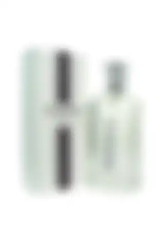 Tommy Hilfiger Tommy Edt Erkek Parfüm 100 ml: Aromatik ve Kalıcı