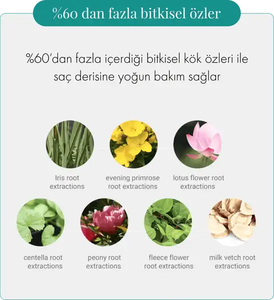 Kore Saç Bakım Ürünleri: Doğal İçeriklerle Güçlü ve Sağlıklı Saçlar