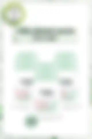 Garnier Mineral Hyaluronik Bakım Roll-on Deodorant 3'lü Set İncelemesi