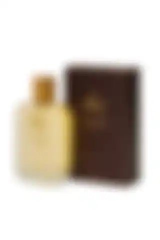 Altınyıldız Classics Erkek AC Premiere EDP Parfüm: Kalıcı ve Odunsu Koku