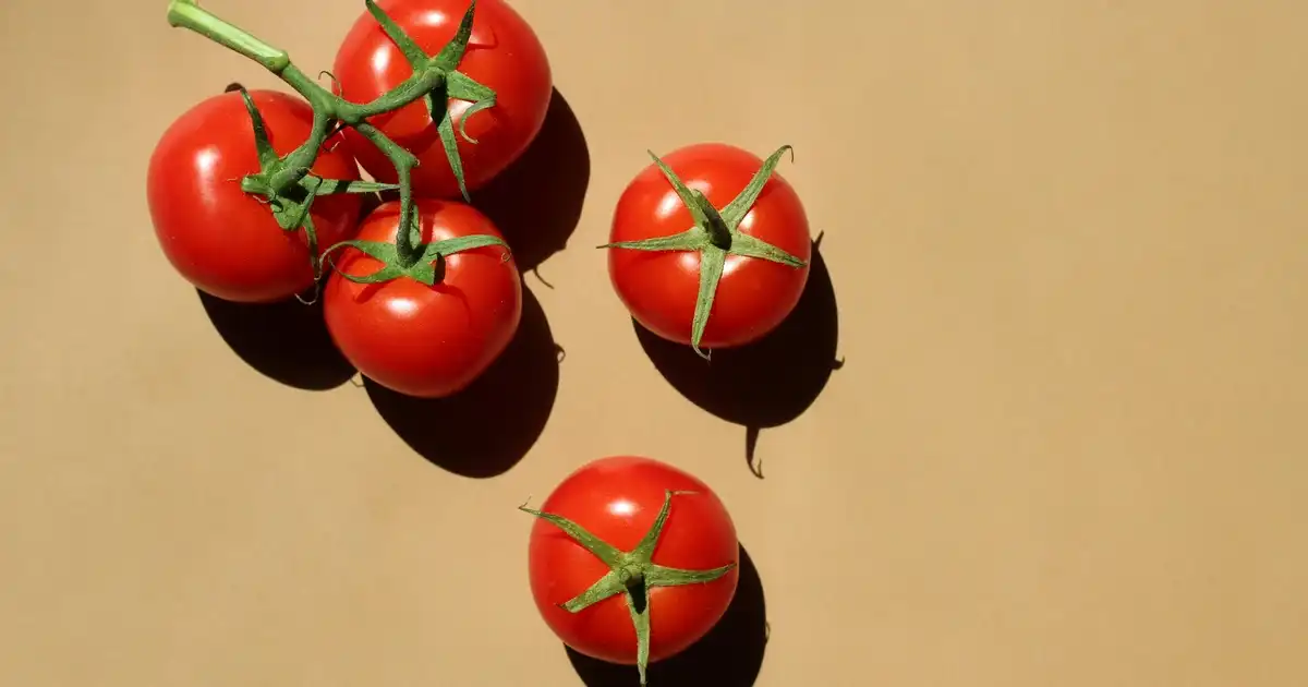Immutor ve Beta Glucan ile Bağışıklık Sistemini Güçlendirme Rehberi