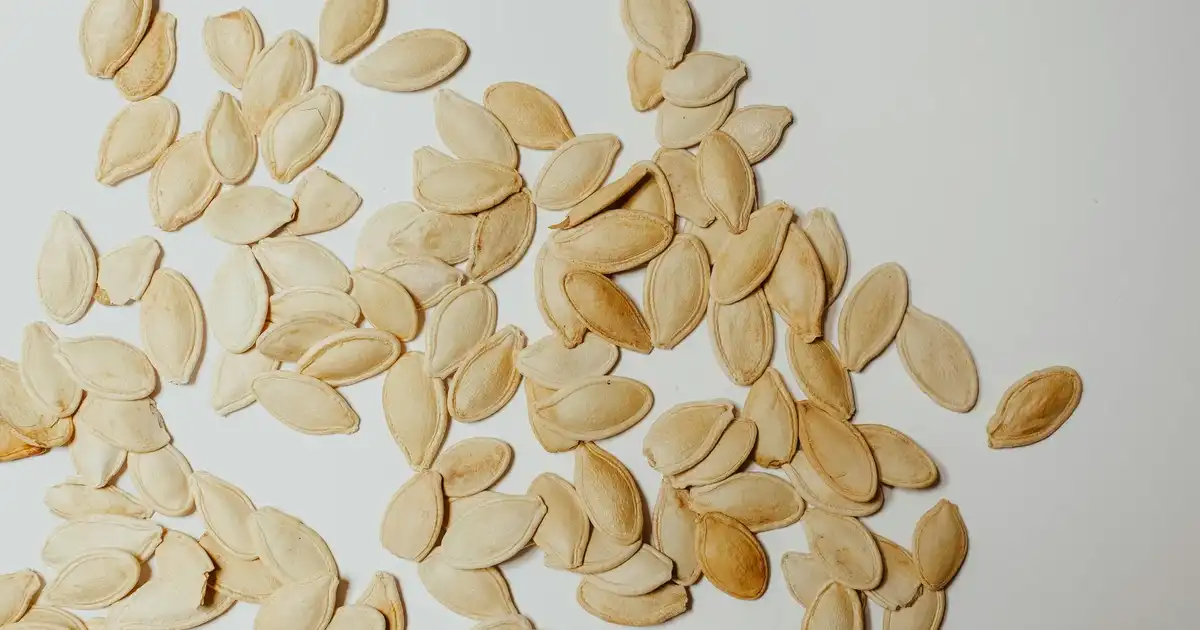 Mochi Göğüs Masaj Aleti: Emzirme Sürecinde Yenilikçi ve Güvenilir Destek Aracı