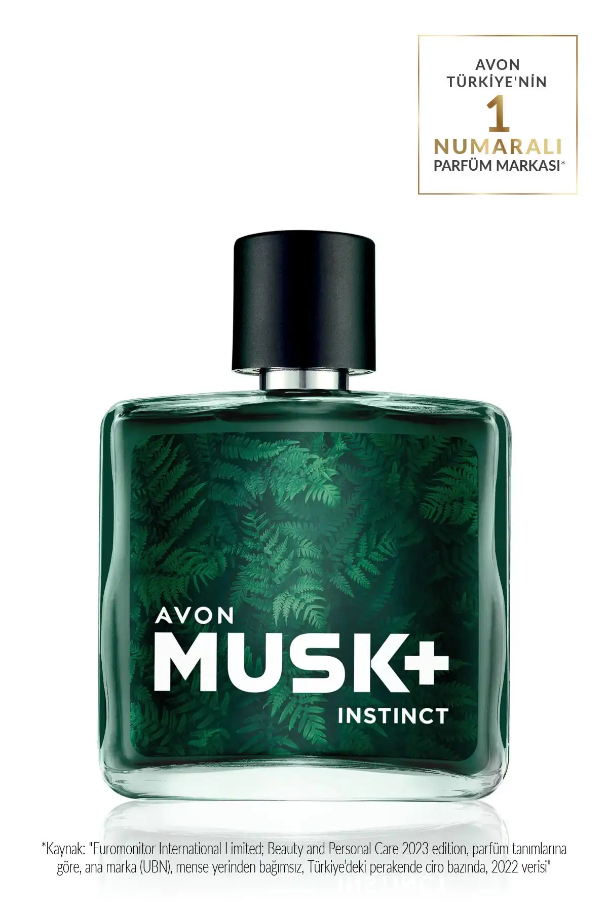 Avon Musk Instinct ve Wild Country Erkek Parfüm Paketinin İnceleme ve Karşılaştırması
