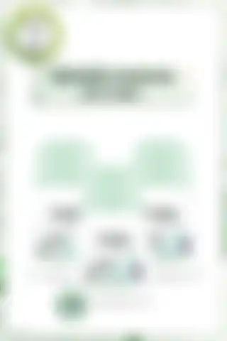 Garnier Mineral Ferah Roll-on Deodorant 3'lü Set ile Uzun Süreli Koruma