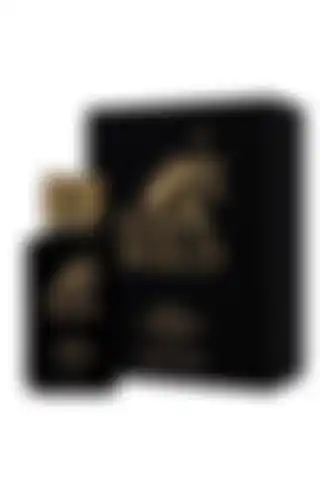 Paul Polo Brave Afrodizyak Etkili EDP 100ml: Kalıcı Erkek Parfümü